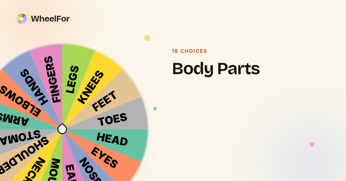 Body Parts Wheel | WheelFor