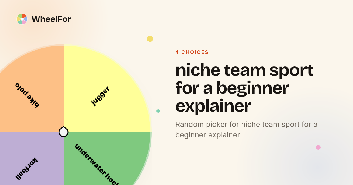 niche team sport for a beginner explainer Wheel | WheelFor